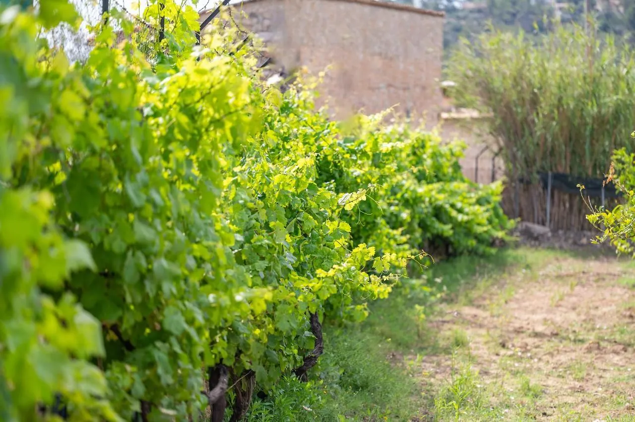 Сasa de vacaciones Villa Son Sant Joan Alaró